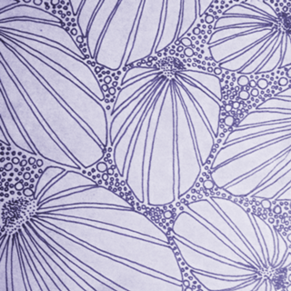 Leque pattern