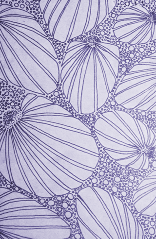 Leque pattern