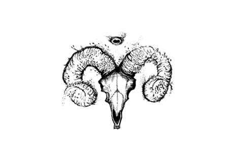 DARK BODE