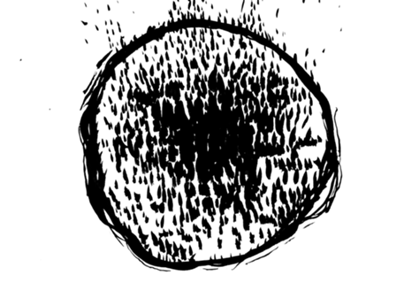 NAKIN [liquen]