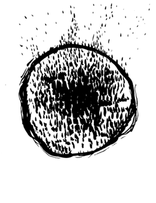 NAKIN [liquen]