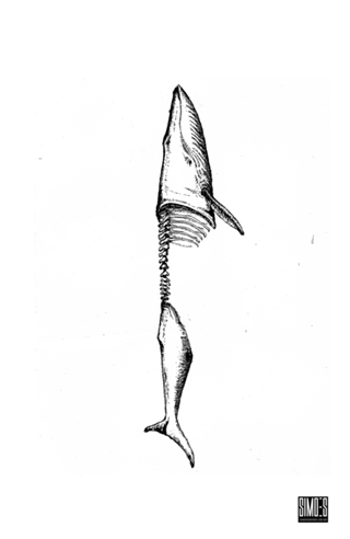 BALEIA PRETA