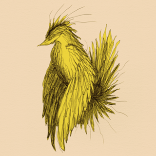 Pássaro Amarelo