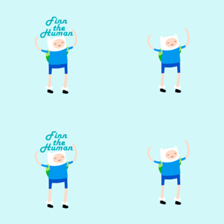Finn The Human
