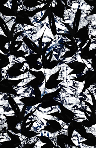 Folhas - Preto e Branco