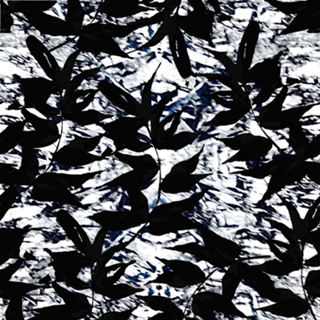 Folhas - Preto e Branco