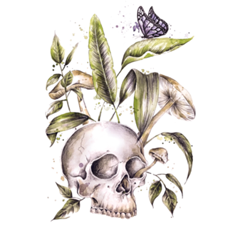 Skull and plants