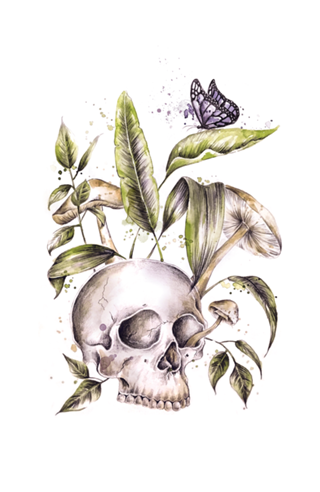 Skull and plants