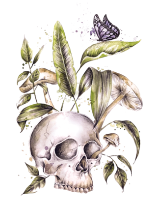 Skull and plants