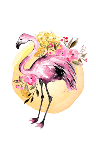 Flamingo