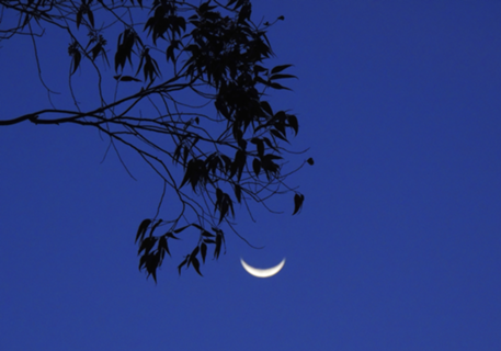 Noite Sorridente