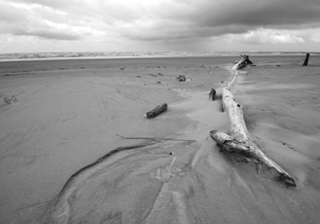 Praia Deserta