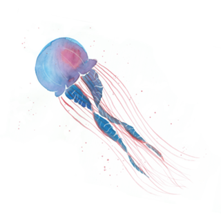 Água viva azul