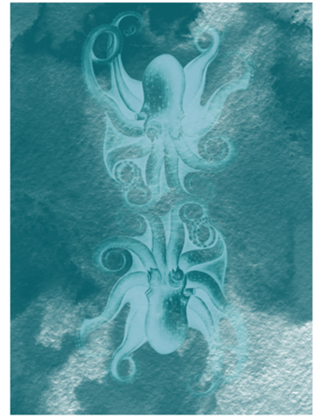 Polvo