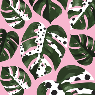 Monstera
