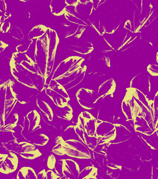 Folhagem Violeta