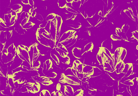 Folhagem Violeta