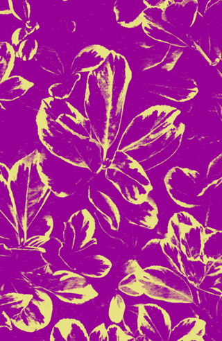 Folhagem Violeta