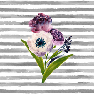 Flores e Listras