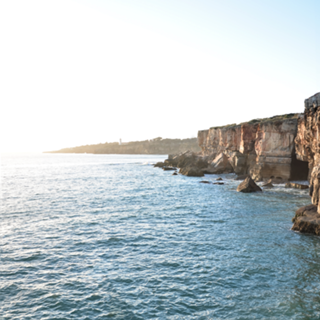 Bright Horizon/ Horizonte Brilhante