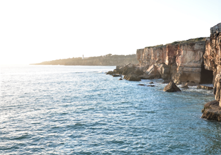 Bright Horizon/ Horizonte Brilhante