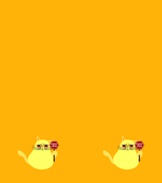 Gato Nem Vem