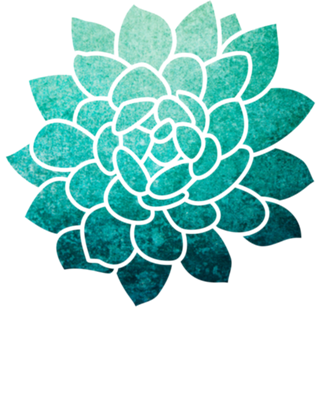 Suculenta