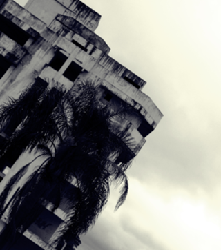Suicide building