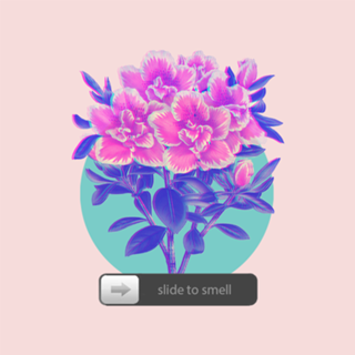 SLIDE TO SMELL