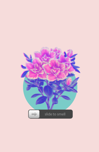 SLIDE TO SMELL