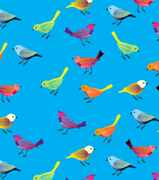 Color Birds azul