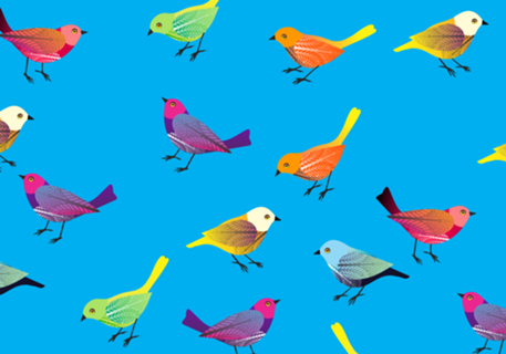 Color Birds azul