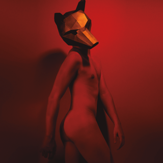 Red Fox