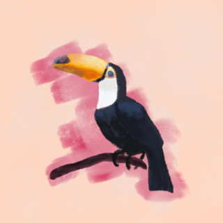 Tucano