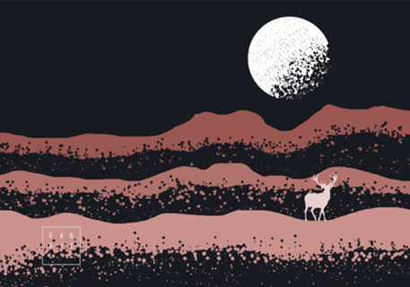 Bubble Horizon