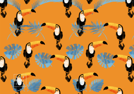 Tucano Tropical