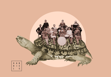 Turtle Orchestra