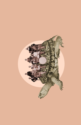 Turtle Orchestra