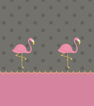 Flamingos