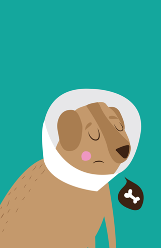 Dog Shame
