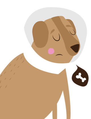 Dog Shame