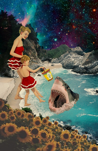 Shark Attack