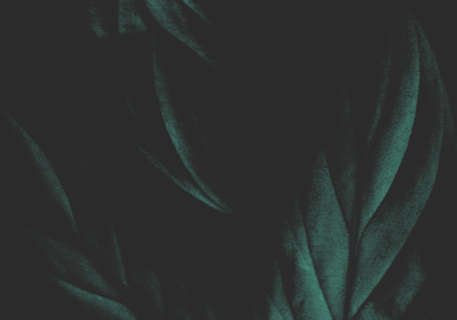 Botanicals Series 001