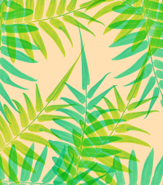 Botanical Series 002