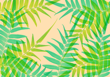 Botanical Series 002