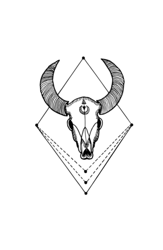 Bull Skull