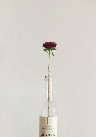 The Flower in the Bottle