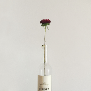 The Flower in the Bottle
