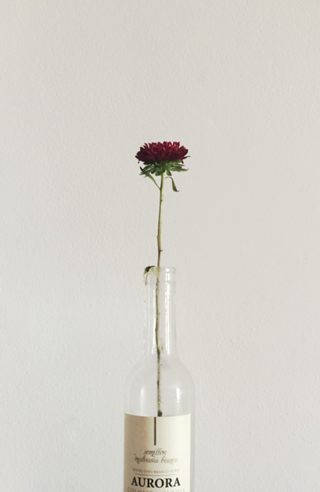 The Flower in the Bottle