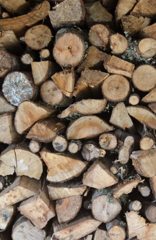 Textura